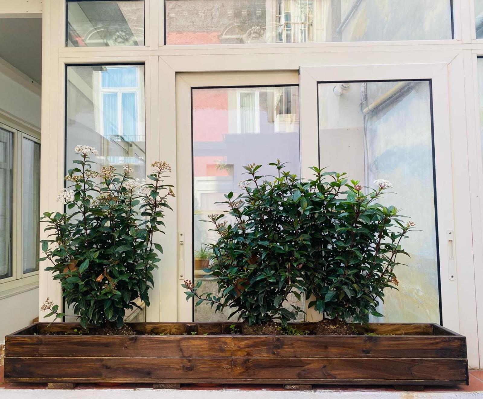 Ferienwohnung La Casa Di Apollo Neapel Exterior foto